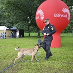 Otwarta przestrzeń parkowa. Strażnik Miejski z psem. Za nim duży, czerwony balon reklamowy z napisem Białystok. W oddali namioty, ludzie, drzewa.