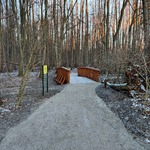 Jesienno-zimowy krajobraz w lesie. Piaszczysta ścieżka wśród drzew. Widok na drewniany mostek. Przy nim żółta tablica informacyjna.