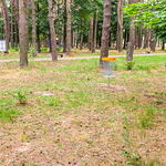 D20240613_114732-2.jpg