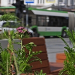DSCN3815.JPG