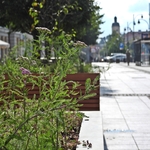 DSCN3831.JPG